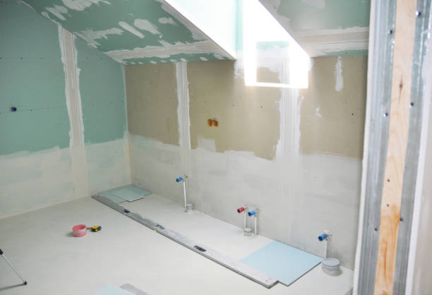 Forensic Mold Investigation in Idalou, TX