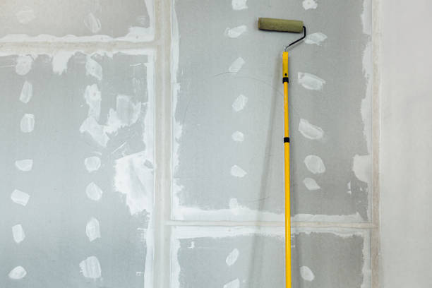 Best Comprehensive Air Testing for Mold Contaminants  in Idalou, TX