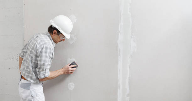 Best Industrial Mold Remediation  in Idalou, TX