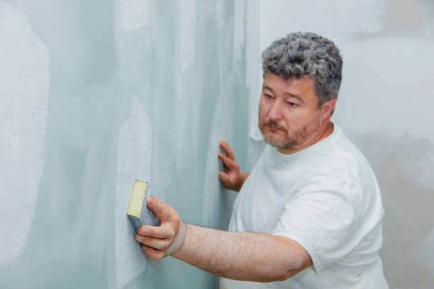 Best Attic Mold Removal  in Idalou, TX