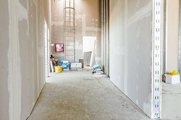 Environmental Consulting for Mold Prevention in Idalou, TX